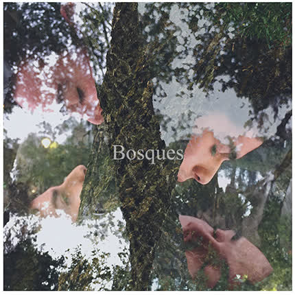 BLEND: Bosques