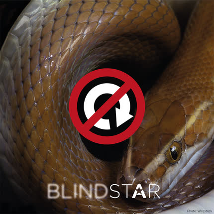 BLINDSTAR: No Volver