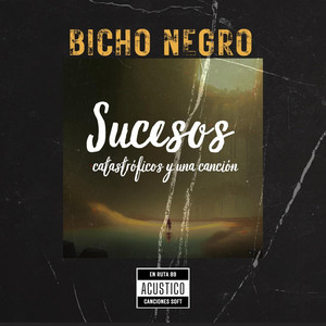 BICHO NEGRO: Sucesos Catastróficos y una Canción