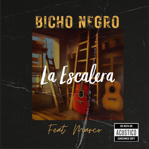 BICHO NEGRO: La Escalera