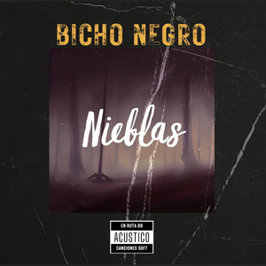 BICHO NEGRO: Nieblas