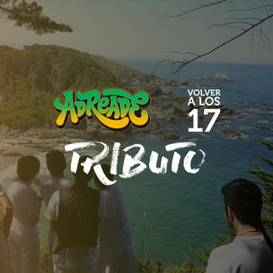 ADREADE: Volver a los 17