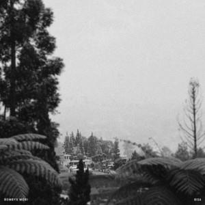 BOMBYX MORI: Bisa