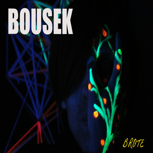 BOUSEK: Bousek