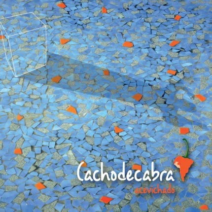 CACHODECABRA: Acevichado
