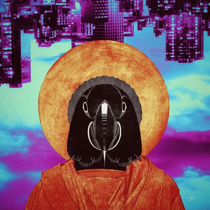 CACTUS ANDANTE: Inmortal