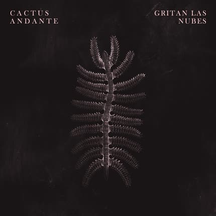 CACTUS ANDANTE: Gritan las Nubes