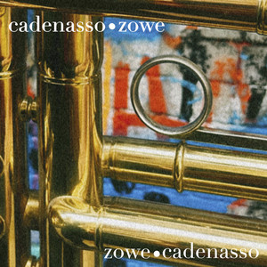 CADENASSO: Purga