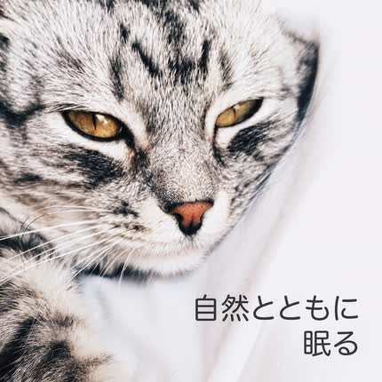 CAIXINHA DE MUSICA DOS BEBÊS, 子守楽器と自然 & NINAS BEDTIME MUSIC BOX: 自然とともに眠る