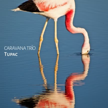 CARAVANA TRIO: Tupac