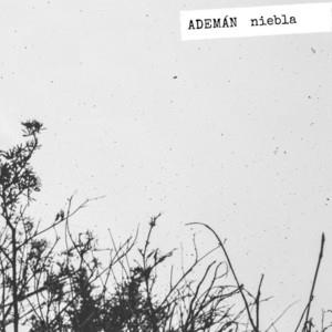 ADEMAN: Niebla