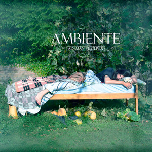 ADEMAN: Ambiente