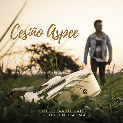 CESIÑO ASPEE: Entre Tanto Caos Estoy <br>en Calma » class=»wp -image-72508 size-full»/></figure><div class=