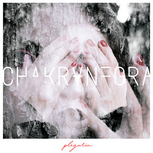 CHAKRANEGRA: Plegaria