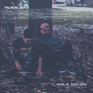 CHARLIE GUNS: Palmera (Remix)