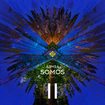 AJIMSA: Somos II