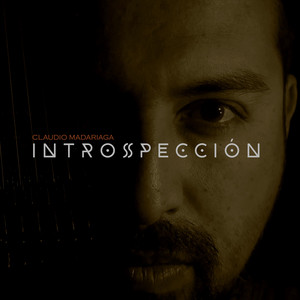 CLAUDIO MADARIAGA: Introspección