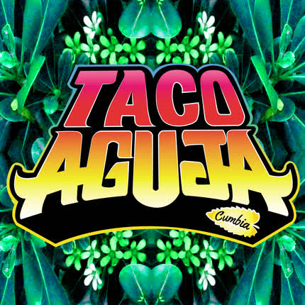 Músico Chileno:TACO AGUJA CUMBIA musicartes.cl - Músico Chileno: TACO AGUJA CUMBIA