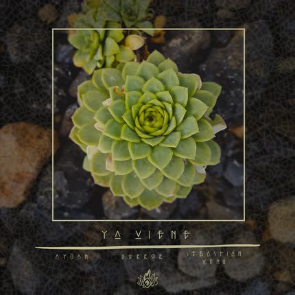 AYÜAN, DERROK & SEBASTIAN VENU: Ya viene