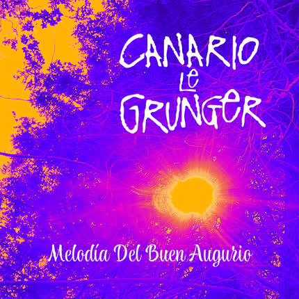 CANARIO LE GRUNGER: Melodía del Buen Augurio