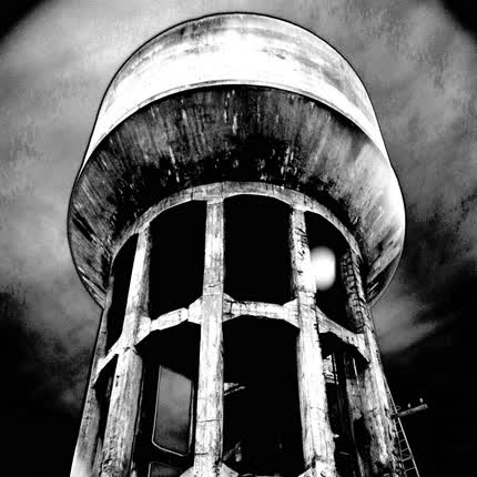 CHIGNOSIS: Chignosis