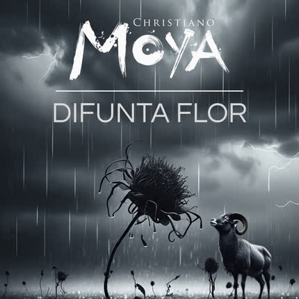CHRISTIANO MOYA: Difunta Flor