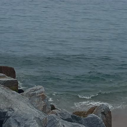 DE PERDER SUS PETALOS: Somos Frágiles