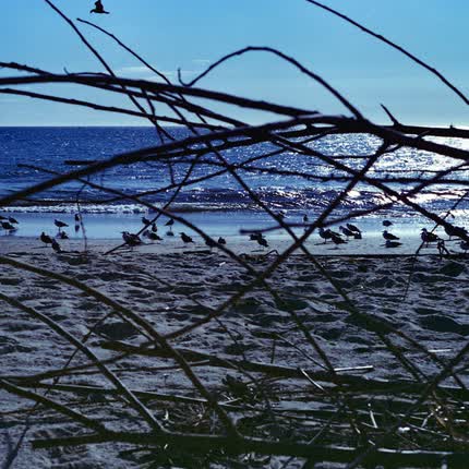 ELIAS MAL: Los Lugares que Visito