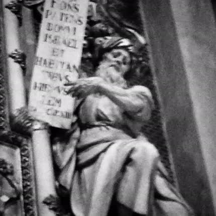 FRAGMENTOS POLARES: Fragmentos Polares