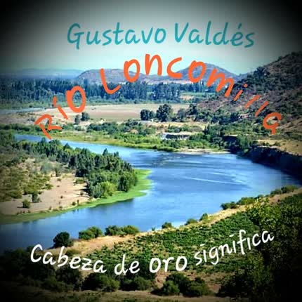 GUSTAVO VALDES: Río Loncomilla