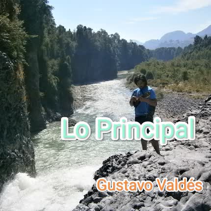 GUSTAVO VALDES: Lo Principal
