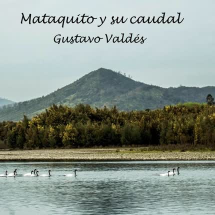 GUSTAVO VALDES: Mataquito y Su Caudal