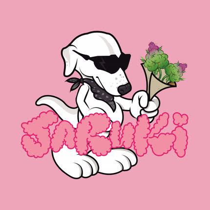 JARED & WIKELES: JARUKI