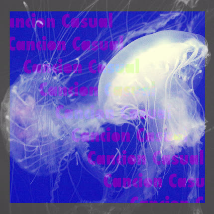 JUAN PABLO RUIZ: Casual