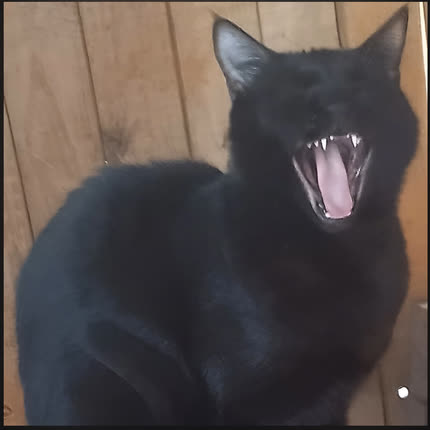 LORD SER: From Darkness We Rise