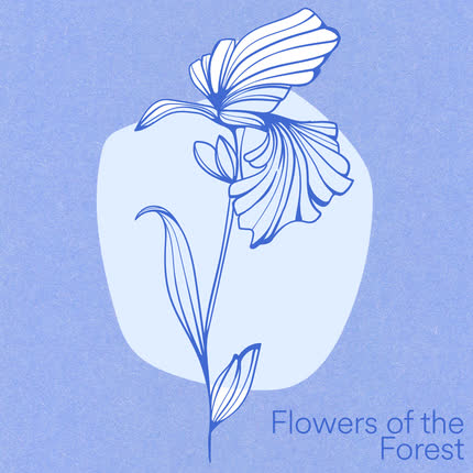 LOS POLLITOS DICEN, UN ELEFANTE SE BALANCEABA & BAA BAA OVEJA NEGRA: Flowers of the Forest