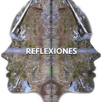 LOS PRETENCIOSOS: Reflexiones