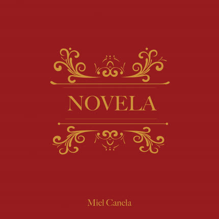 MIEL CANELA: Novela