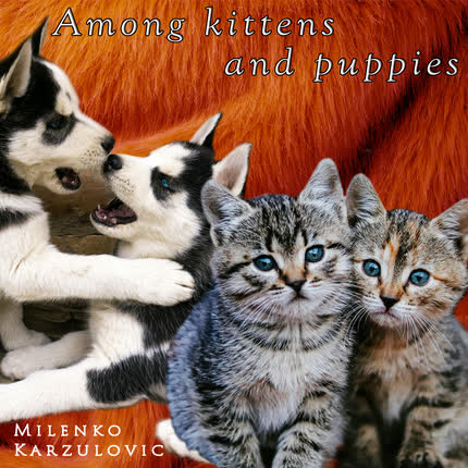 MILENKO KARZULOVIC: Among Kittens and <br>Puppies (Instrumental) » class=»wp -image-81792 size-full» /></figure><div class=