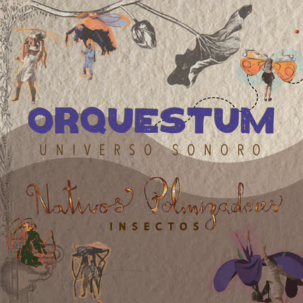 ORQUESTUM UNIVERSO SONORO: Insectos Nativos Polinizadores