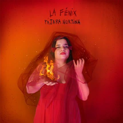 PAJARA NORTINA: La Fénix