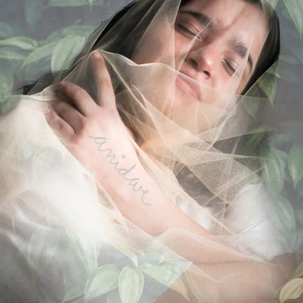 PAJARA NORTINA: Anidar