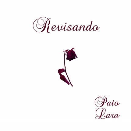 PATO LARA: Revisando