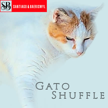 SANTIAGO & BAERISWYL: Gato Shuffle