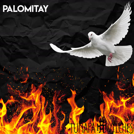 TUNAPA VILCHES: Palomitay