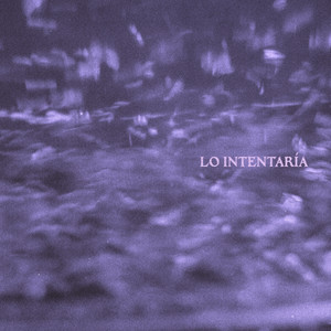 ADPORTAS: Lo Intentaría