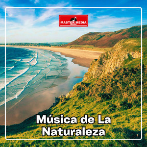 AIRES DE CHILE: Música de la Naturaleza