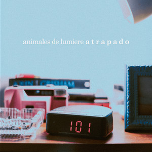 ANIMALES DE LUMIERE: Atrapado