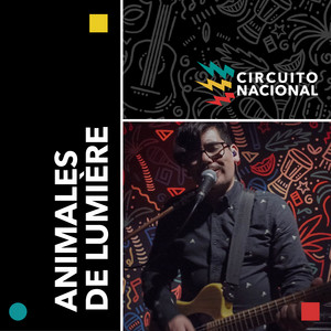 ANIMALES DE LUMIERE: Animales de Lumière en Circuito Nacional