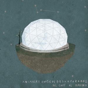 ANIMALES EXOTICOS DESAMPARADOS: Del Caos al Cerebro